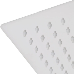 Soffione per Doccia a Pioggia 2 pz Acciaio Inossidabile 30x50cm