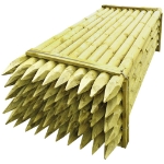 Pali Appuntiti Recinzione 50 pz Legno Impregnato 10x240 cm