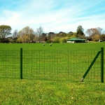 Recinzione Europea in Acciaio 10 x 0,8 m Verde