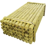 Pali Appuntiti Recinzione 50 pz Legno Impregnato 10x240 cm