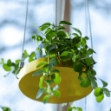 Esschert Design Vassoio Sospeso per Piante Rotondo Dorato S
