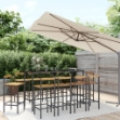 Set Bar Giardino 11 pz Nero Polyrattan e Legno Massello Acacia