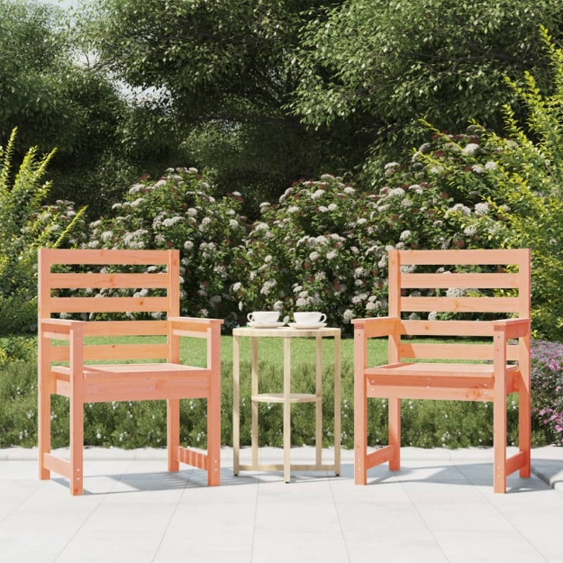 Sedie da Giardino 2pz 60x48x91 cm Legno Massello di Douglas