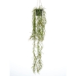 Emerald Cespuglio Appeso di Hoya Artificiale 80 cm in Vaso