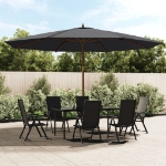 Ombrellone da Giardino con Palo in Legno Nero 400x273 cm