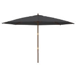 Ombrellone da Giardino con Palo in Legno Nero 400x273 cm