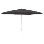 Ombrellone da Giardino con Palo in Legno Nero 400x273 cm