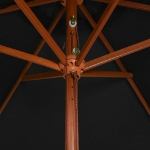 Ombrellone da Esterni con Palo in Legno 200x300 cm Nero