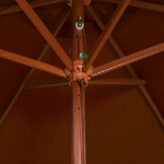 Ombrellone da Esterni con Palo in Legno 200x300 cm Terracotta