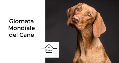 Giornata Mondiale del Cane