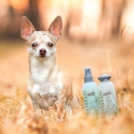 Greenfields Set Completo di Shampoo e Spray per Cani 2x250 ml