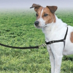 PetSafe Pettorina per Cani Easy Walk Misura S Nera