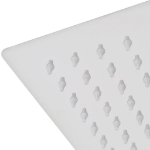 Soffione per Doccia a Pioggia 2 pz Acciaio Inossidabile 30x50cm