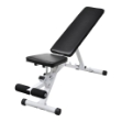 Panca di Allenamento Fitness