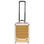 Valigia Trolley per Cosmetici 35x29x45 cm Oro in Alluminio