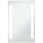 Specchio da Parete a LED per Bagno 60x100 cm