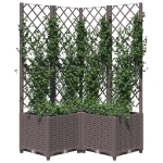 Fioriera da Giardino con Graticcio Marrone 80x80x136 cm in PP