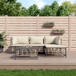 Set Divani da Giardino 4 pz con Cuscini Antracite in Polyrattan