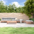 Set Salotto da Giardino 5 pz in Legno Massello di Douglas