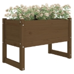 Fioriera Marrone Ambra 78x40x52 cm in Legno Massello di Pino
