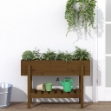 Fioriera Rialzata da Giardino Ambra 101x30x69 cm Massello Pino