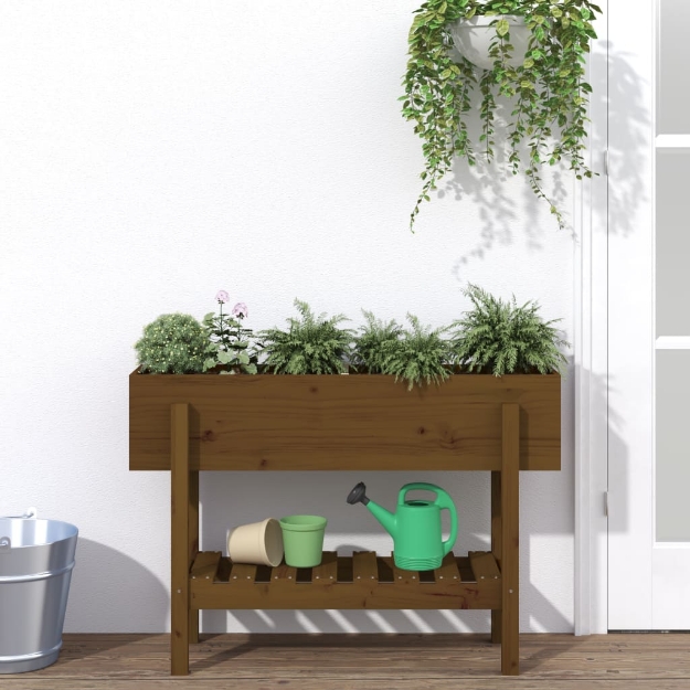 Fioriera Rialzata da Giardino Ambra 101x30x69 cm Massello Pino