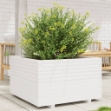 Fioriera da Giardino Bianca 80x80x49,5cm Legno Massello di Pino