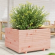Fioriera da Giardino 80x80x49,5 cm in Legno Massello di Douglas