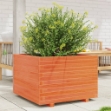Fioriera Giardino Marrone Cera 70x70x49,5cm Legno Massello Pino