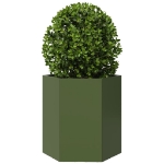 Fioriera da Giardino Verde Oliva Esagono 46x40x45 cm Acciaio