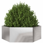 Fioriera da Giardino Esagono 138x120x45 cm in Acciaio Inox
