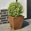 Fioriere da Giardino 2 pz 30x30x30 cm in Acciaio Corten