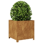 Fioriera da Giardino 50x50x50 cm in Acciaio Corten