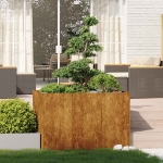 Fioriera Arrugginita 120x80x80 cm in Acciaio Corten