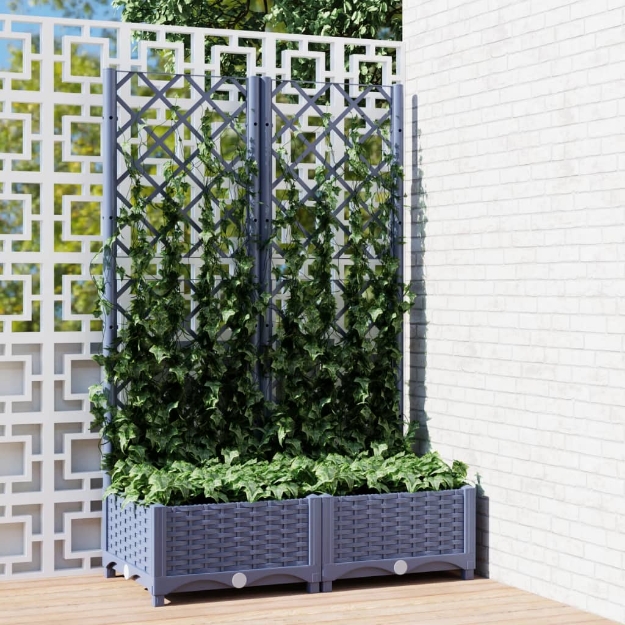 Fioriera da Giardino e Graticcio Grigio Blu 80x40x121,5 cm PP