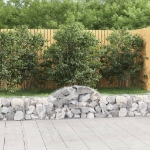 Cesti Gabbioni ad Arco 5 pz 200x30x40/60 cm Ferro Zincato
