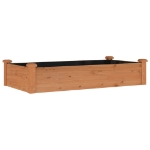 Fioriera Giardino con Fodera Marrone 120x60x25cm Massello Abete