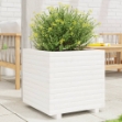 Fioriera da Giardino Bianca 50x50x49,5cm Legno Massello di Pino