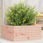 Fioriera da Giardino 50x50x23 cm in Legno Massello di Douglas