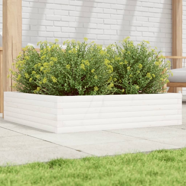 Fioriera da Giardino Bianca 100x100x23 cm Legno Massello Pino