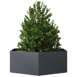 Fioriera da Giardino Antracite Esagono 138x120x45 cm in Acciaio