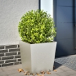 Fioriera da Giardino 50x50x50 cm in Acciaio Inox