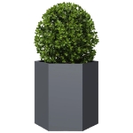 Fioriera da Giardino Antracite Esagono 46x40x45 cm in Acciaio