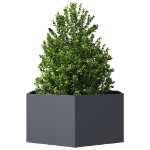 Fioriera da Giardino Antracite Esagono 104x90x45 cm in Acciaio