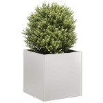 Fioriera 40x40x40 cm in Acciaio Inox