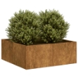 Fioriera Arrugginita 80x80x30 cm in Acciaio Corten