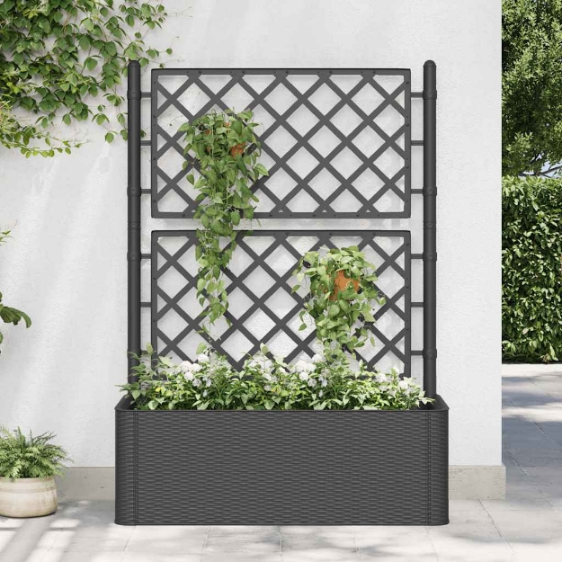 Letto Rialzato da Giardino Graticcio e Irrigazione Antracite