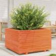 Fioriera Giardino Marrone Cera 80x80x49,5cm Legno Massello Pino