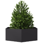 Fioriera da Giardino Nera Esagono 138x120x45 cm in Acciaio