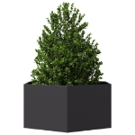 Fioriera da Giardino Nera Esagono 104x90x45 cm in Acciaio